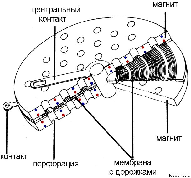 ортодинам наушники ldsound.info (7)