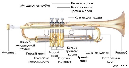 Медный духовой музыкальный инструмент в виде удлиненной трубы без вентилей